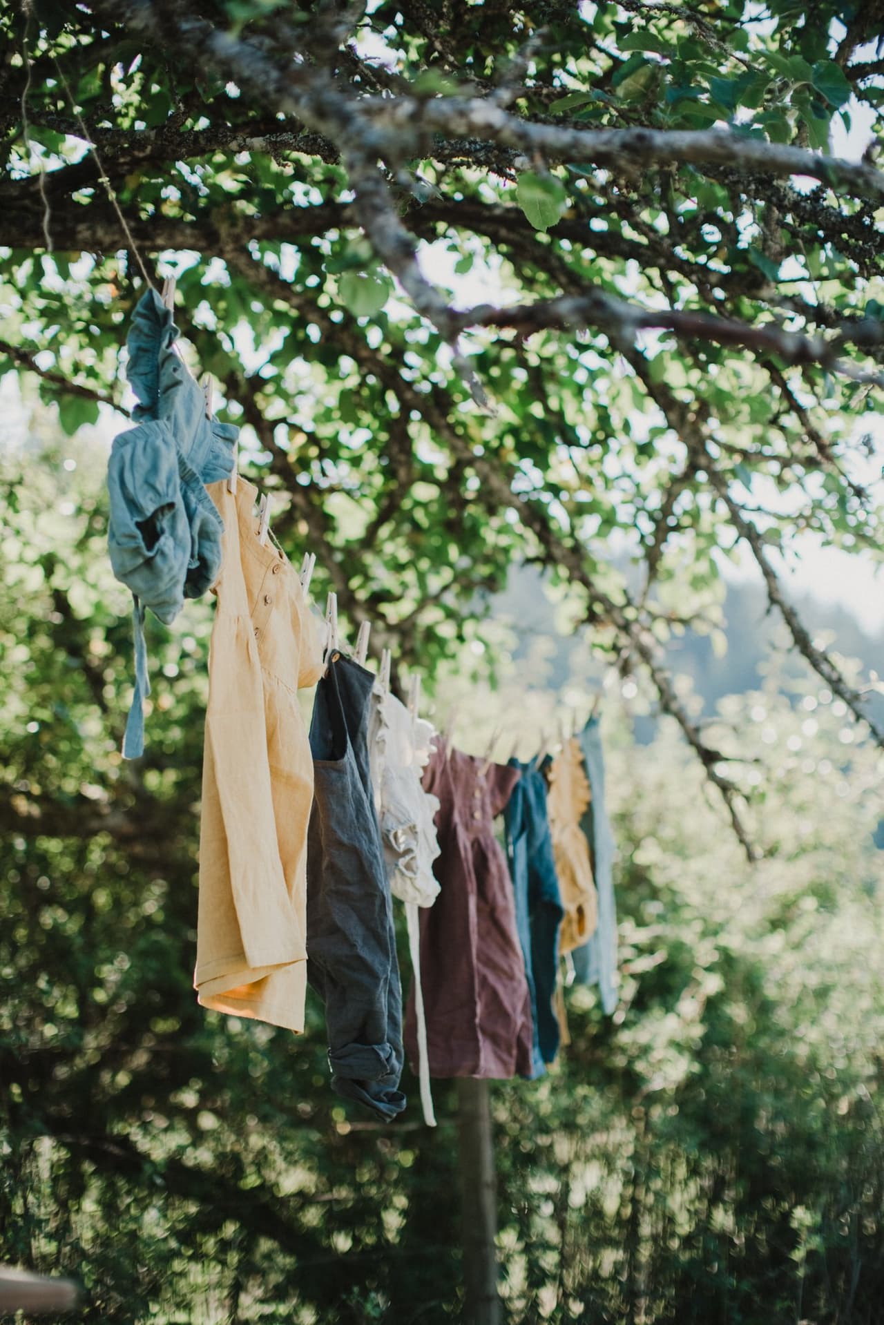 Colorful laundry hangs from a clothesline beneath dappled sunlight filtering through leafy green branches overhead