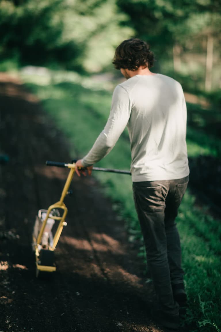 A grower pushing a wheel hoe down a garden row