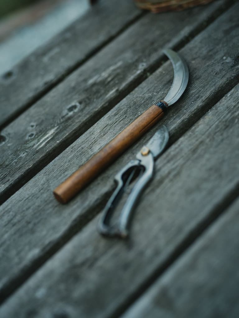 Wooden-handled knife and pruning shears resting on weathered grey planks