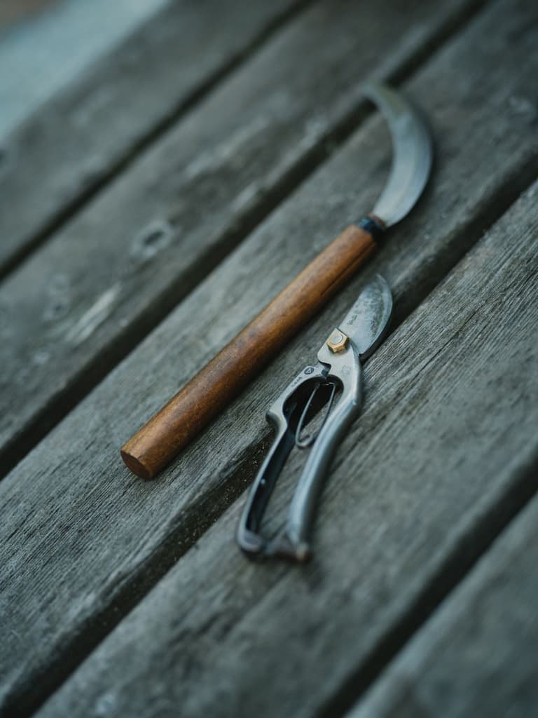 Vintage hand plane and wooden handle tool rest on weathered gray wooden surface in soft natural light