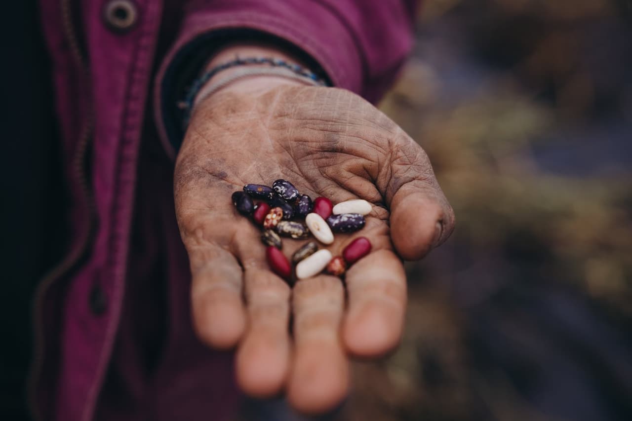 Open palm holding mixed heritage beans and seeds in red, black, white, and speckled varieties on Salt Spring Island
